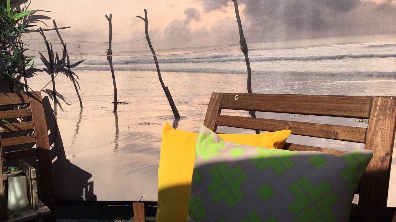 Photo of Outdoor in Walpole