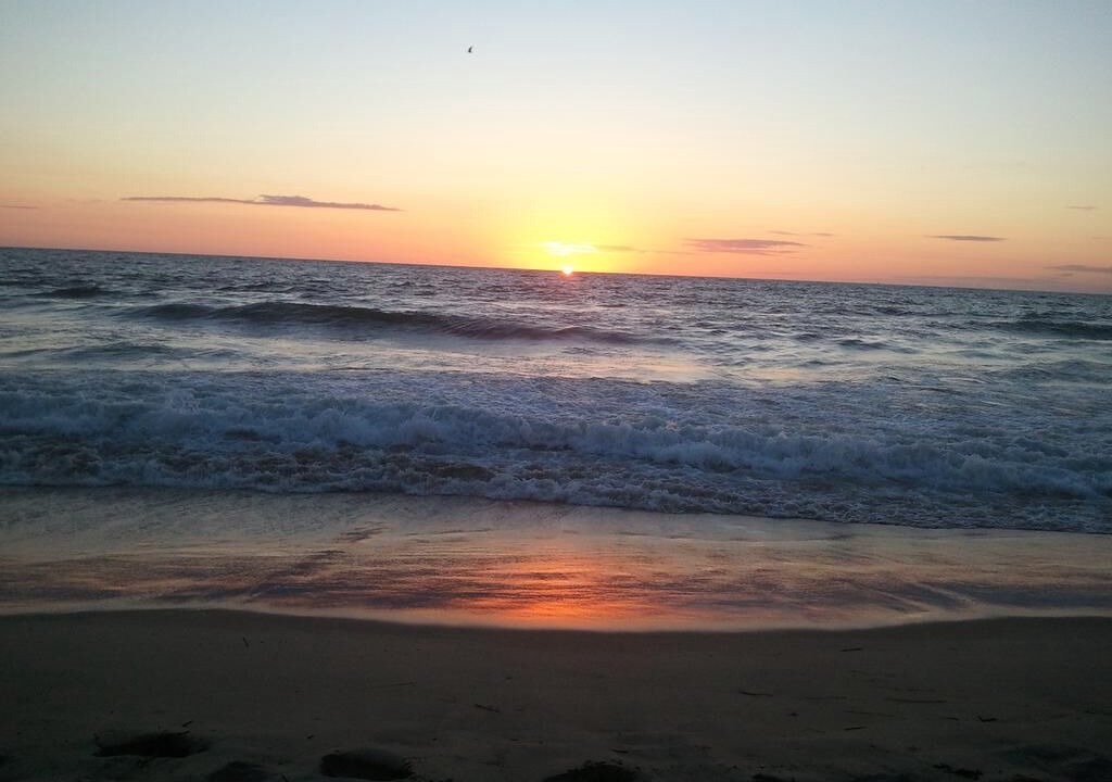 Photo of Others in Northeast Virginia Beach