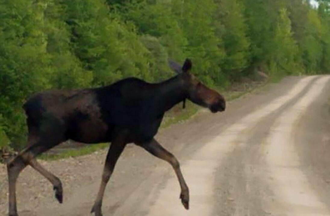 Photo of Others in Quimby