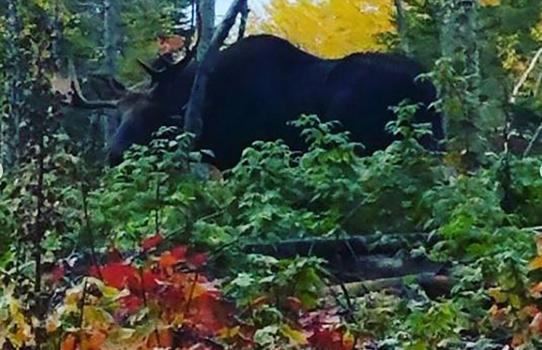 Photo of Outdoor in Quimby