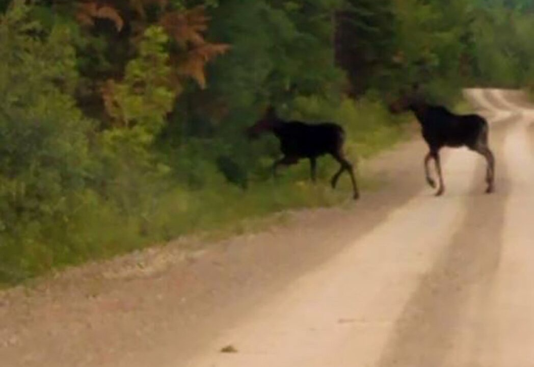 Photo of Others in Quimby