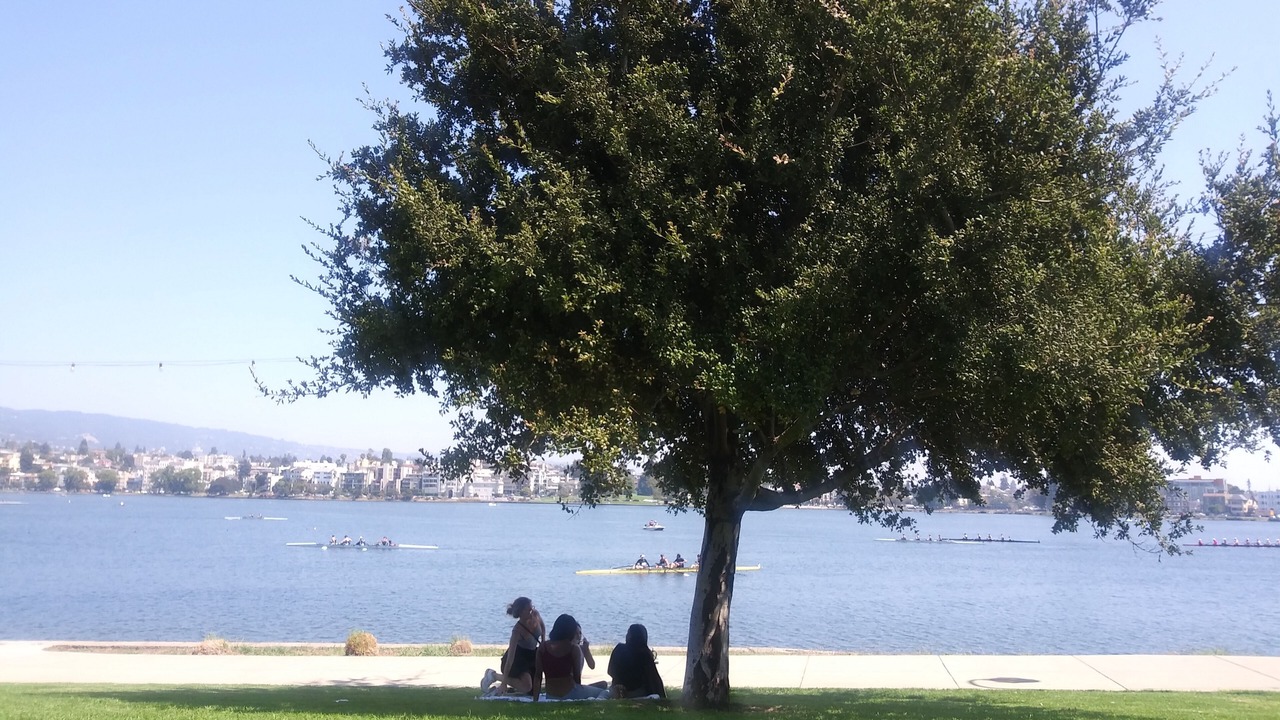 Photo of Others in Grand Lake