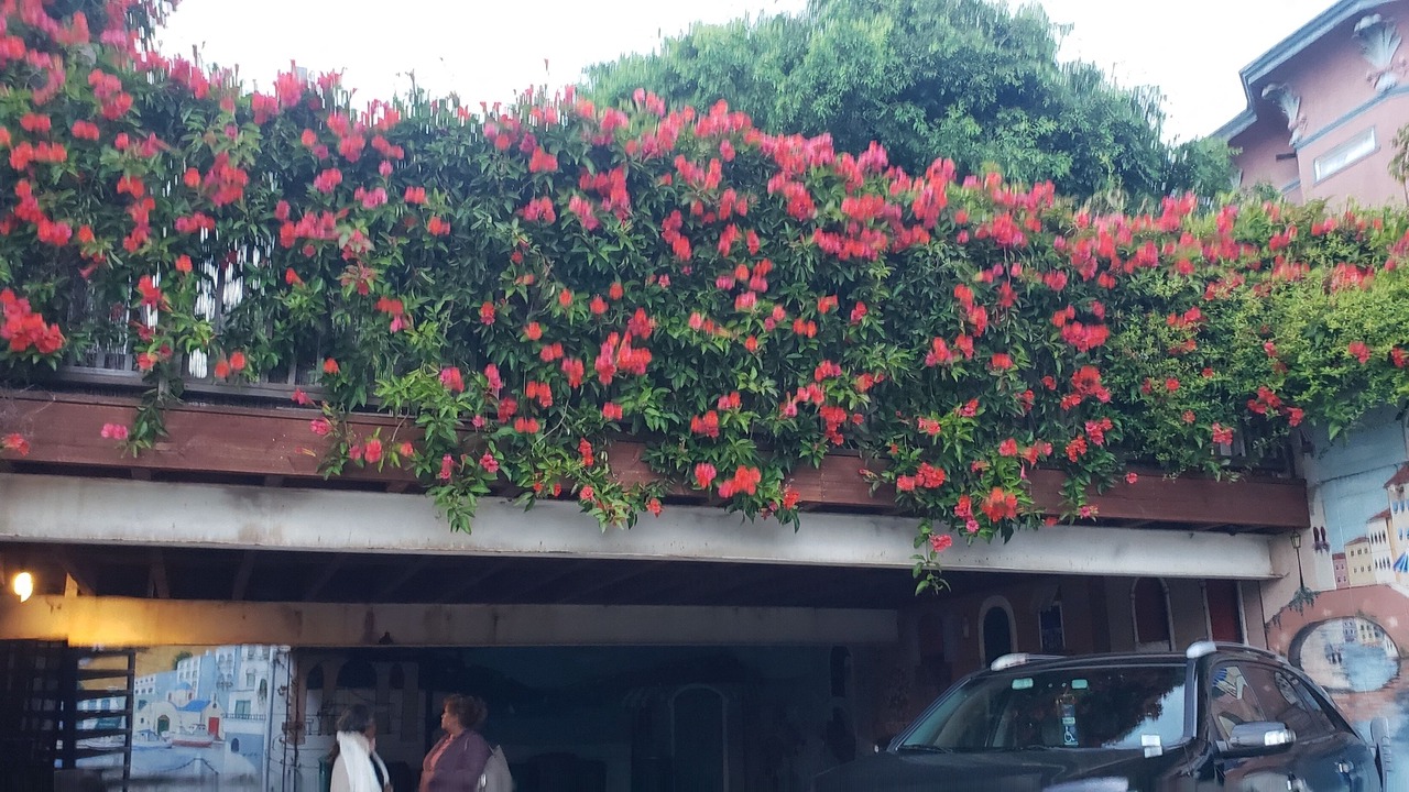 Photo of Outdoor in Grand Lake