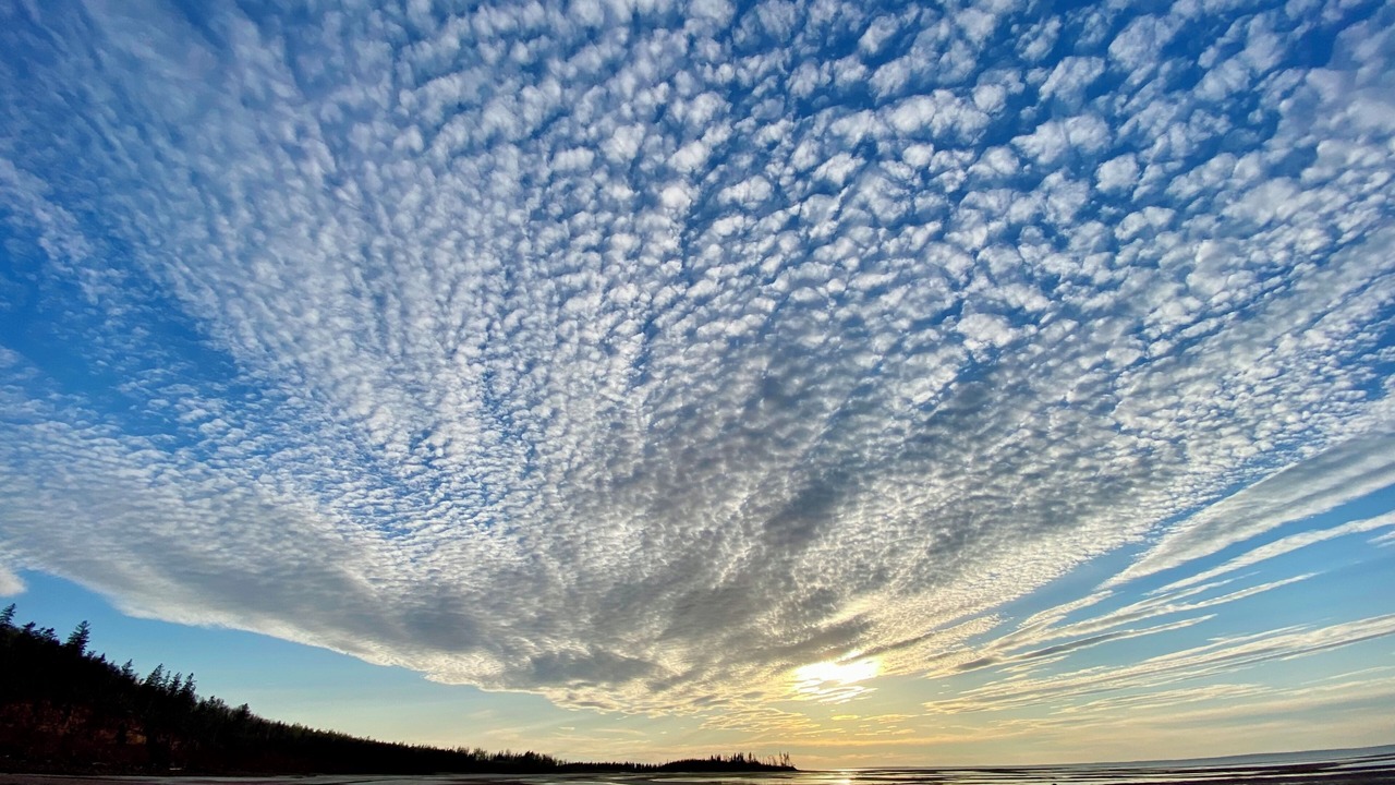 Photo of Others in Belfast