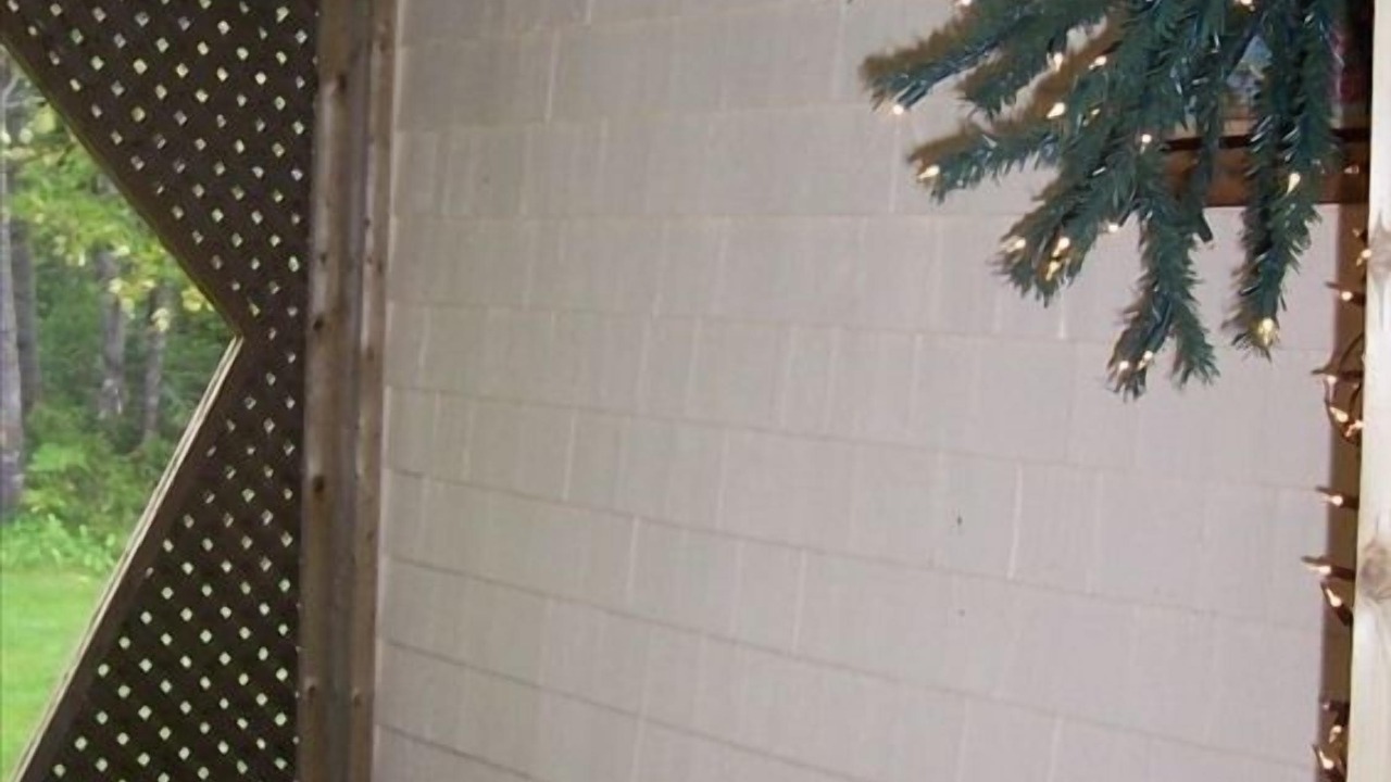 Photo of Outdoor in Belfast