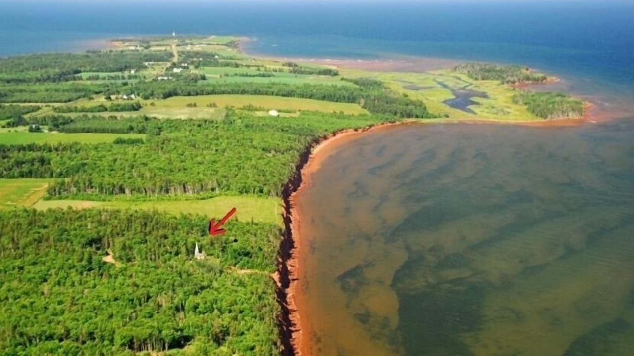 Photo of Others in Belfast