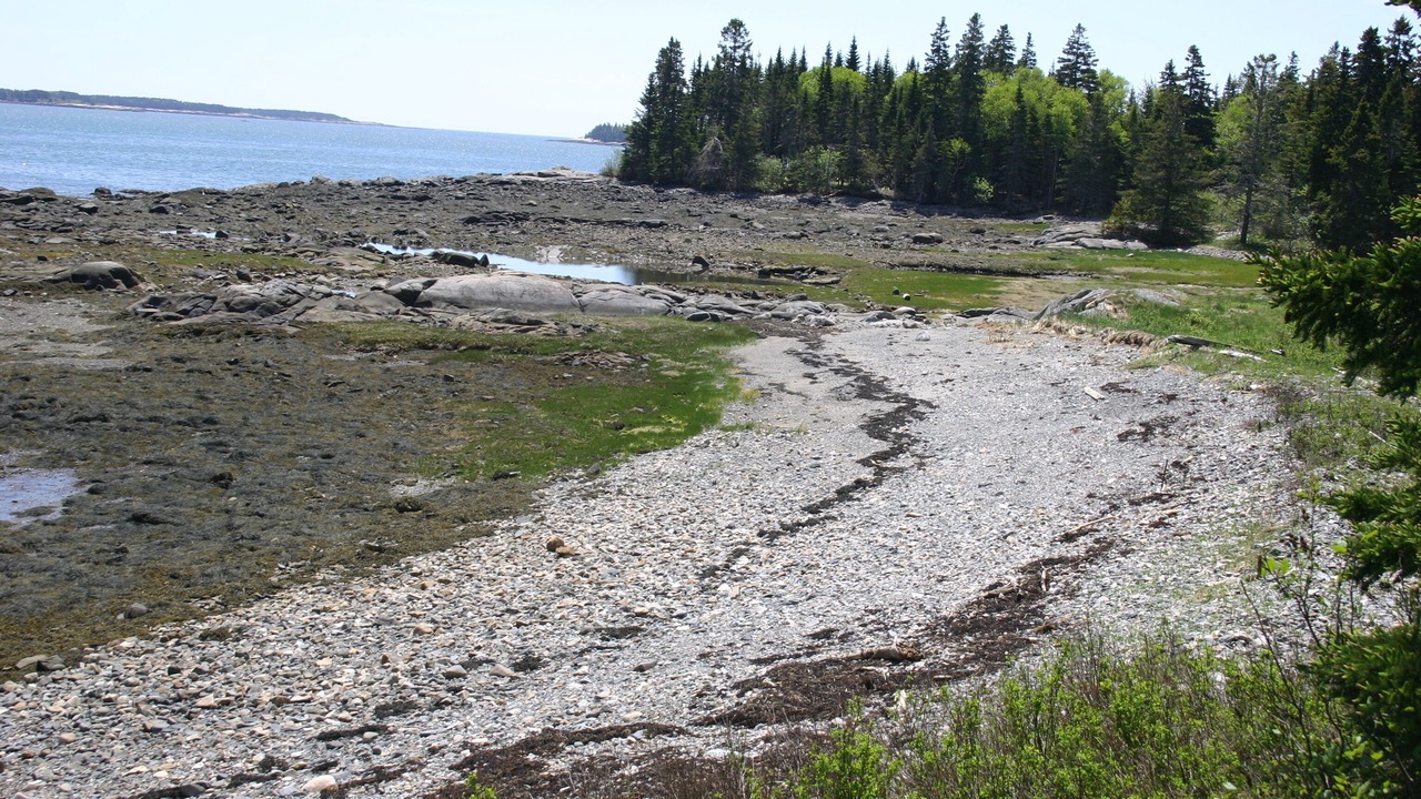 Photo of Others in South Addison