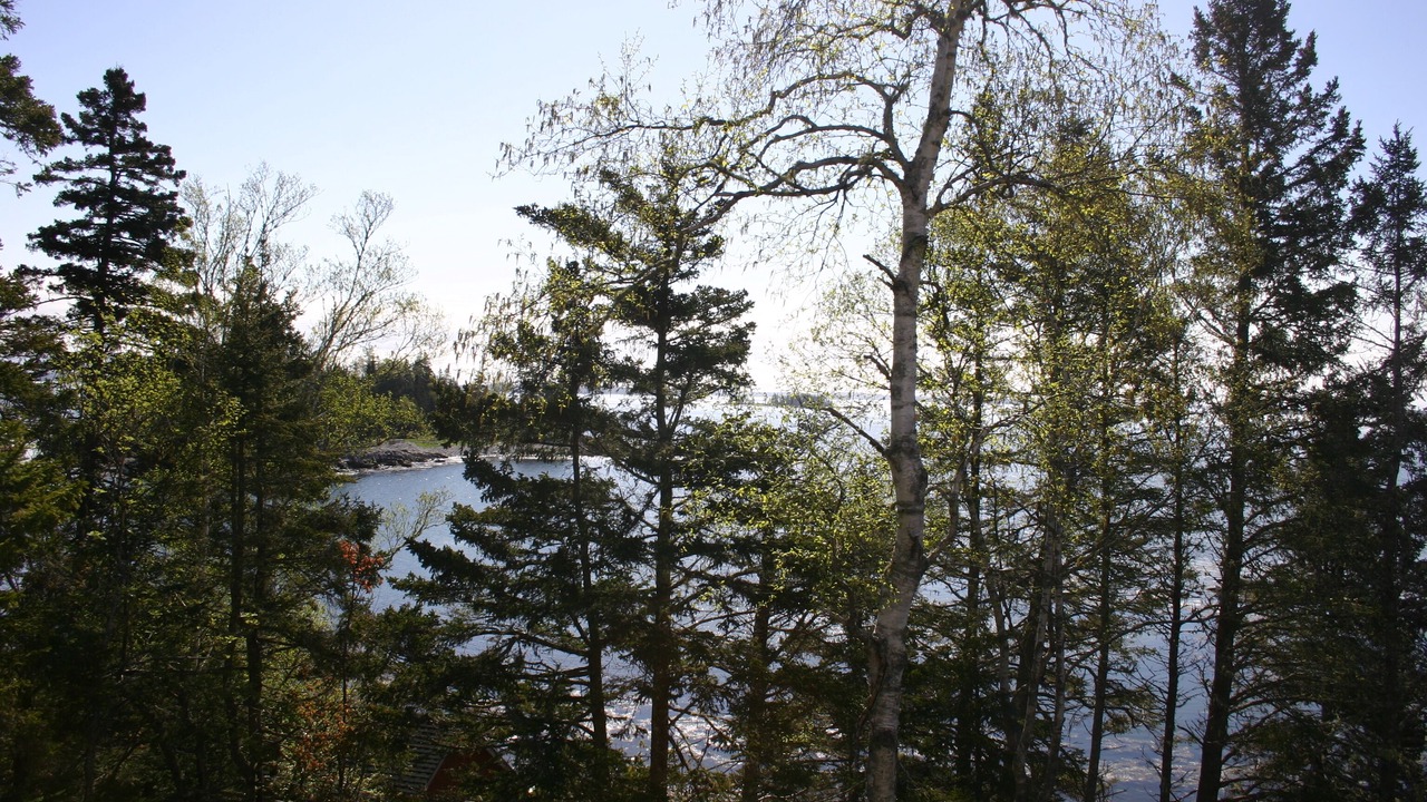 Photo of Outdoor in South Addison