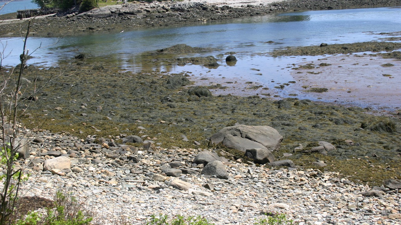 Photo of Others in South Addison