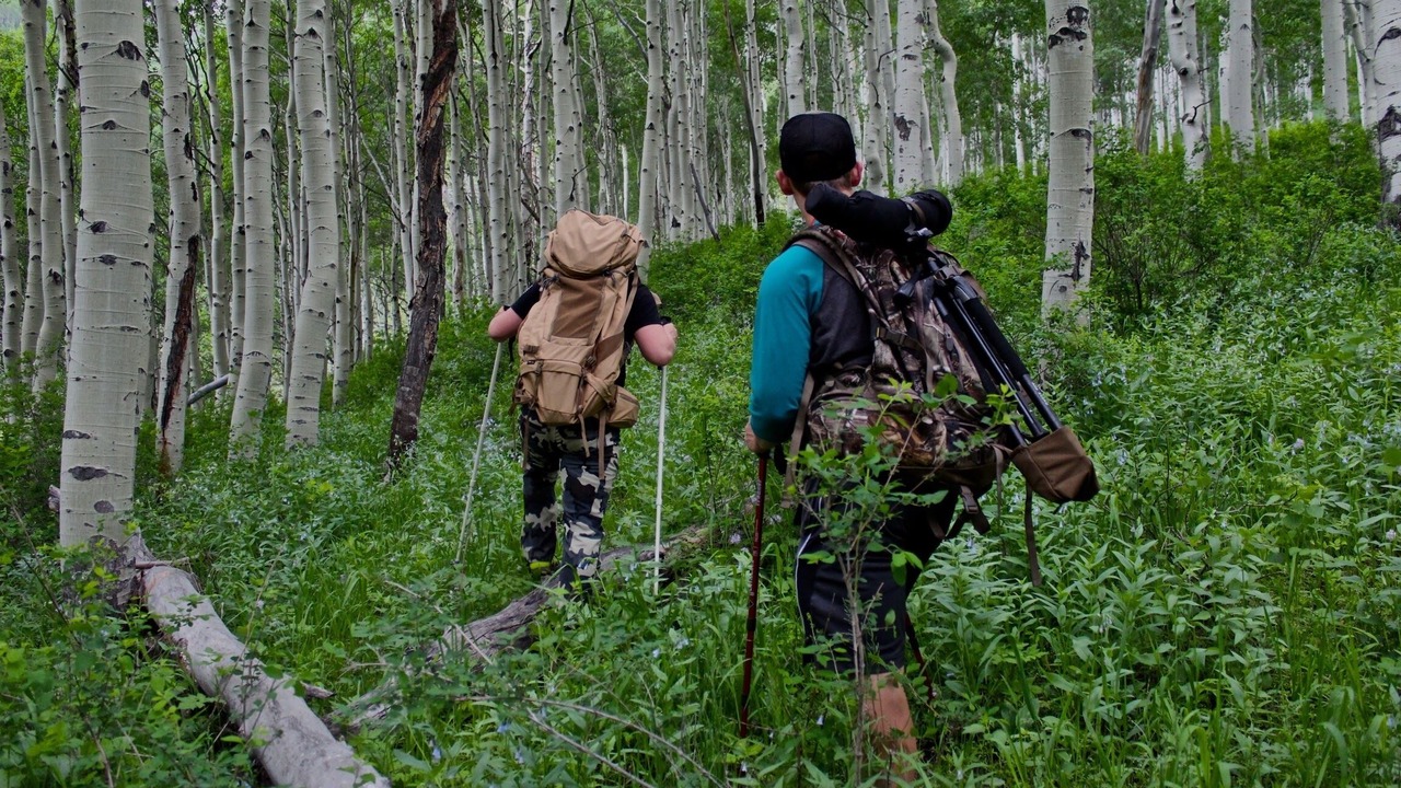 Photo of Outdoor in Hunter