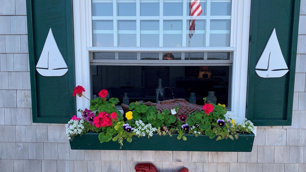 Photo of Others in Campobello Island