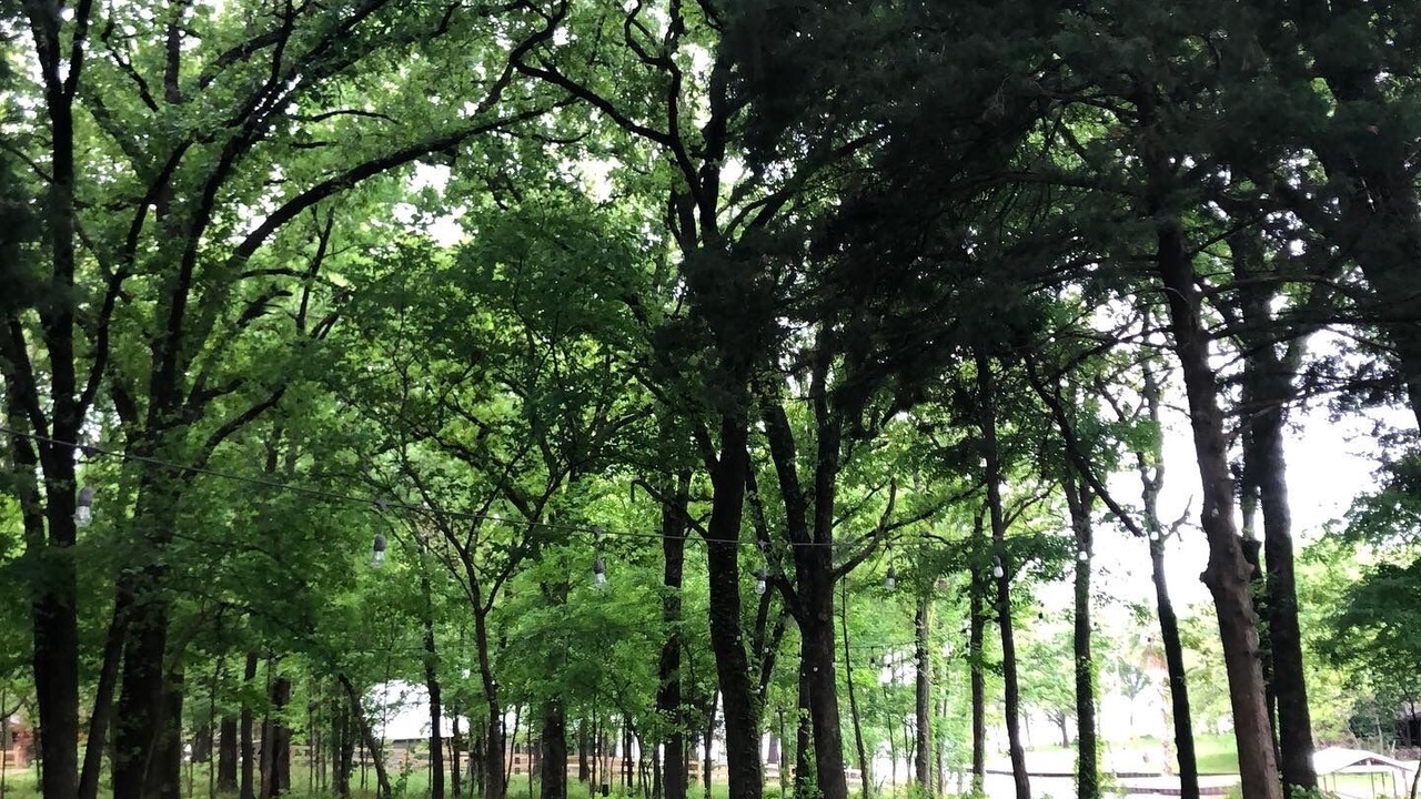 Photo of Outdoor in Enchanted Oaks