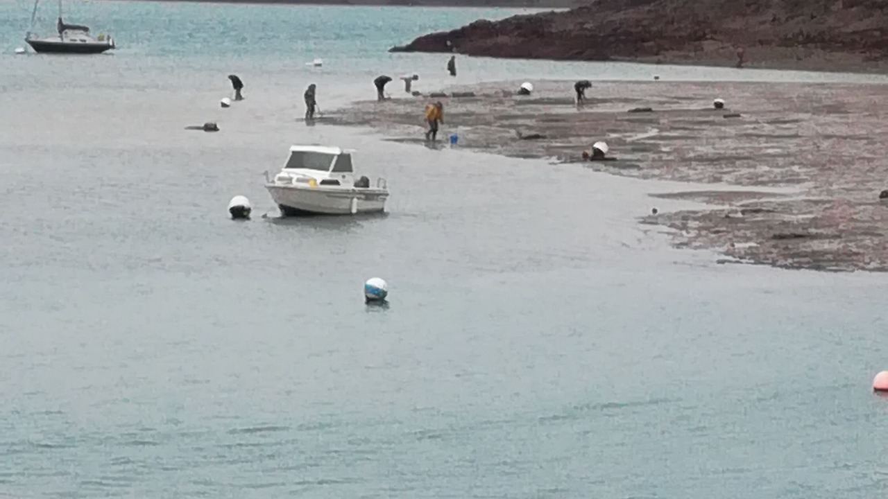 Photo of Others in Le Minihic-sur-Rance