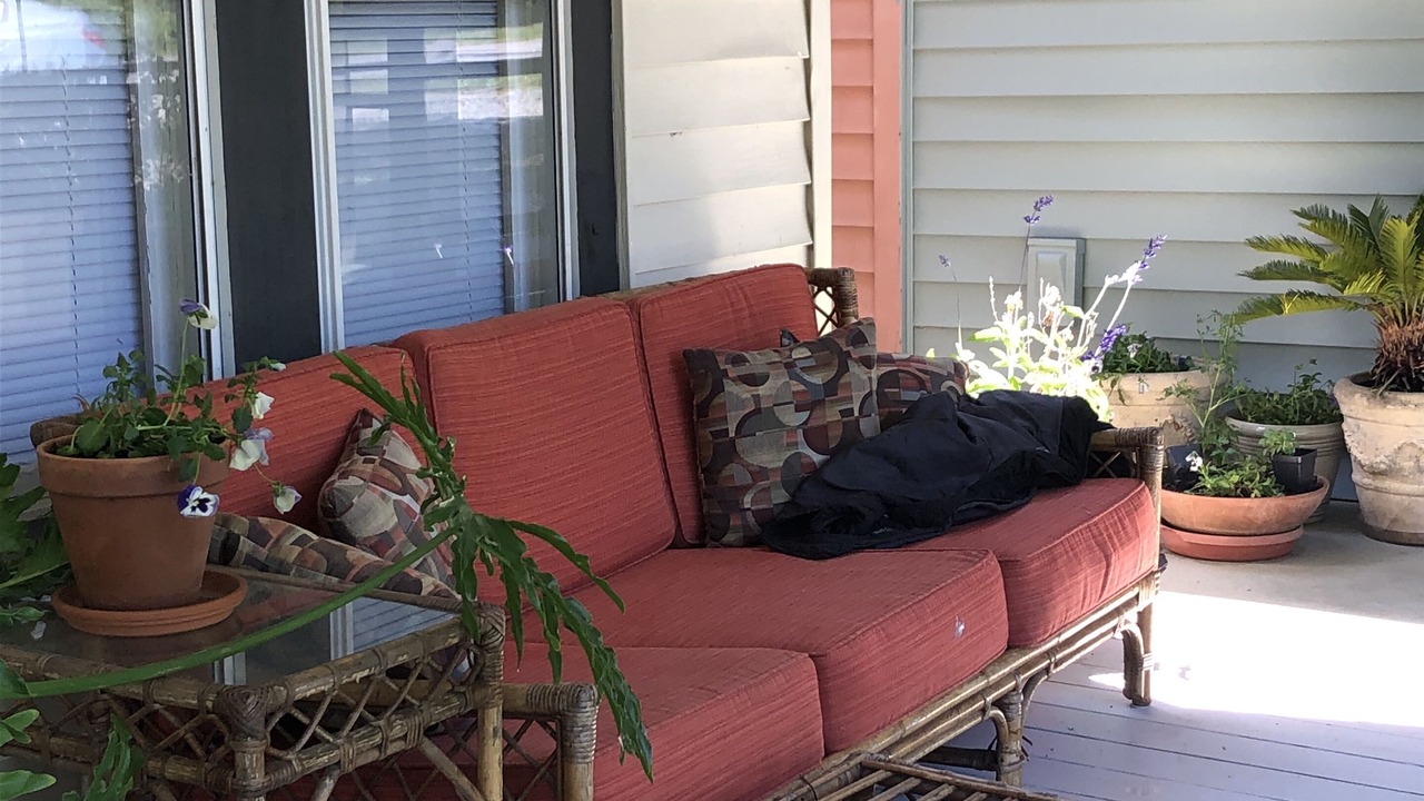 Photo of Outdoor in Lynn