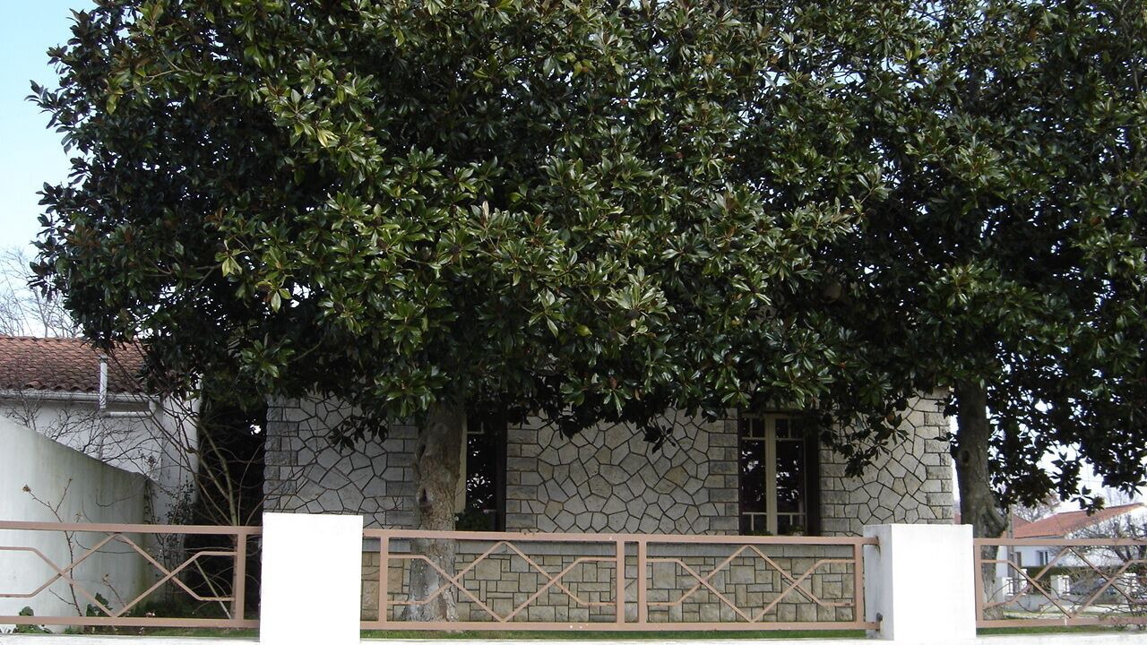 Photo of Outdoor in Saujon