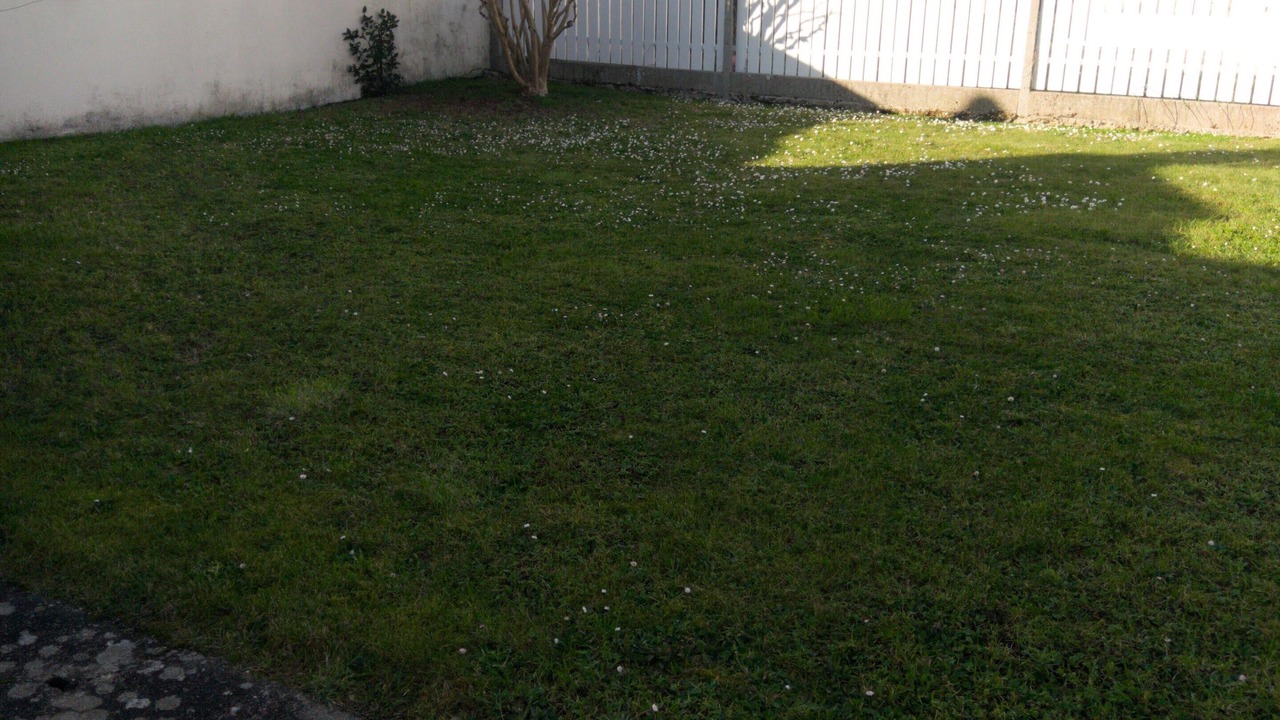 Photo of Outdoor in Saujon