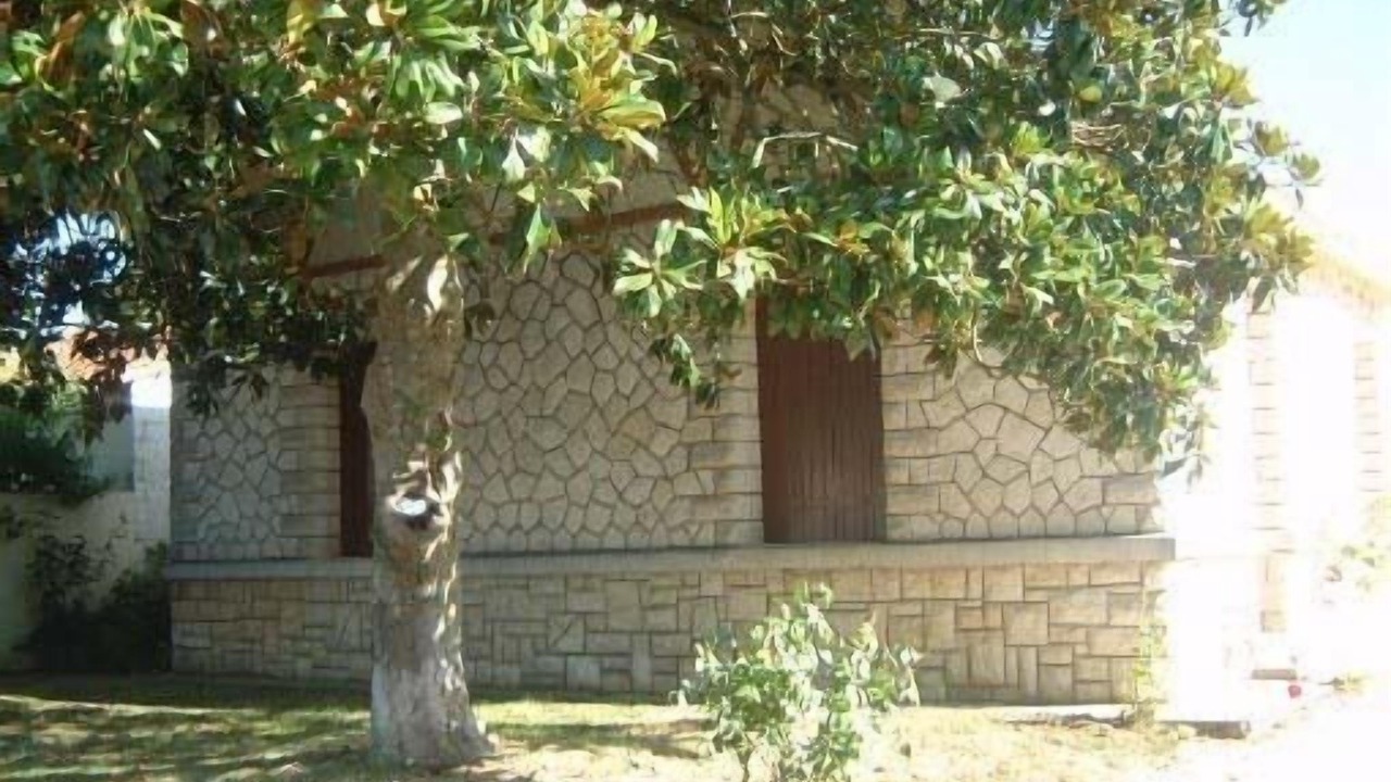 Photo of Outdoor in Saujon