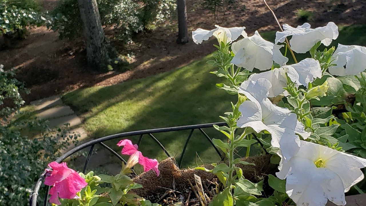 Photo of Outdoor in Melvin Village