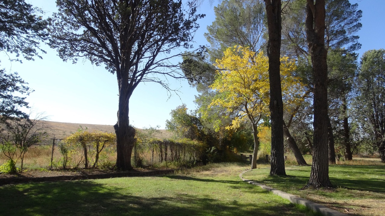 Photo of Outdoor in Faywood