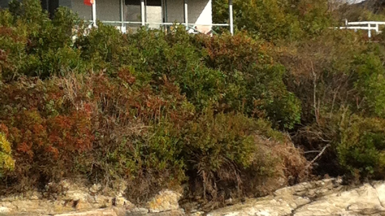 Photo of Outdoor in Mid-Coast and Islands