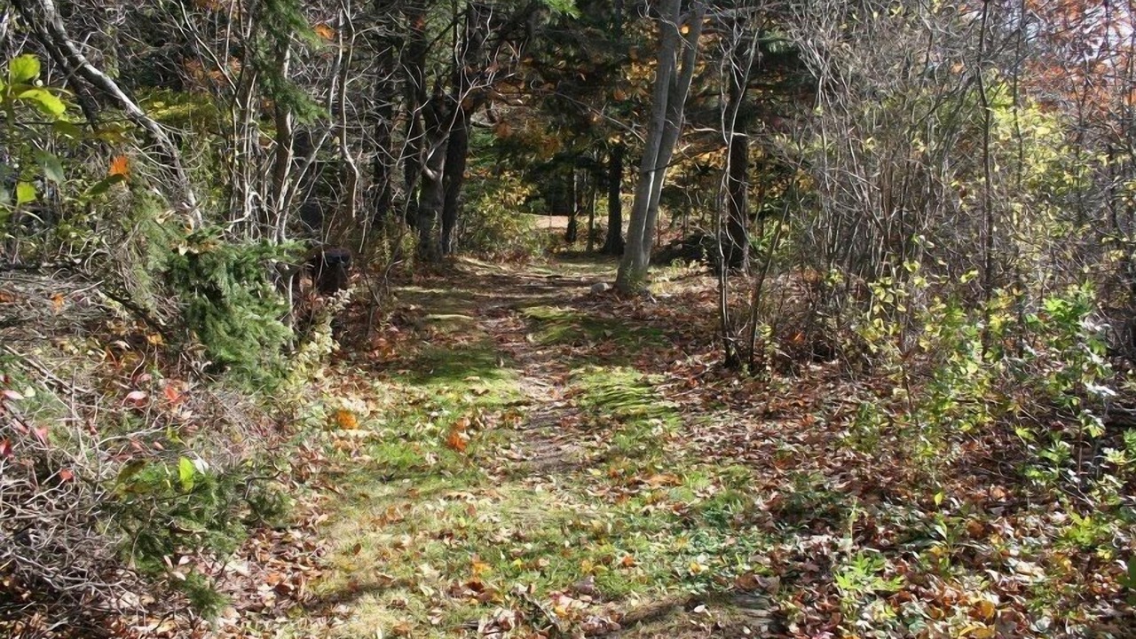 Photo of Outdoor in Mid-Coast and Islands