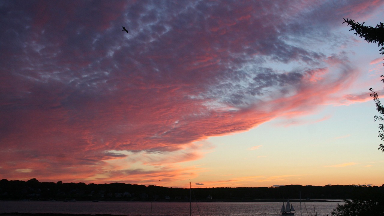 Photo of Others in Mid-Coast and Islands