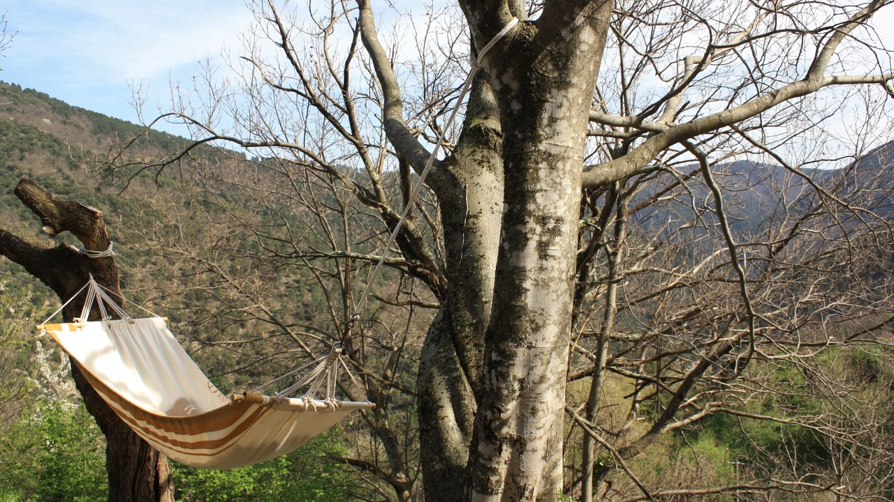 Photo of Outdoor in Dompnac