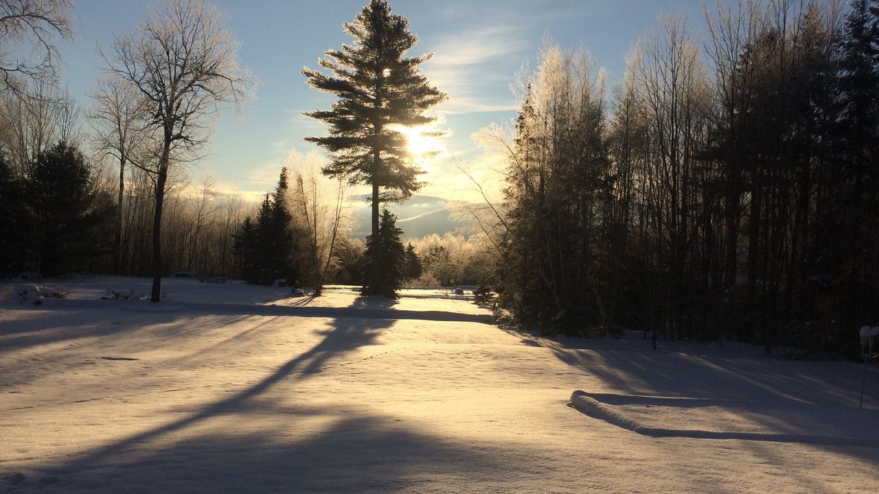 Photo of Others in Stowe Village Historic District
