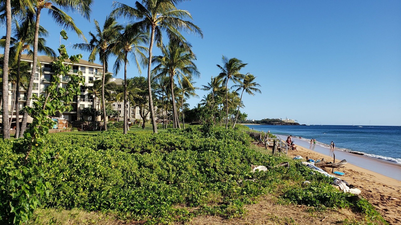 Photo of Others in Kaanapali