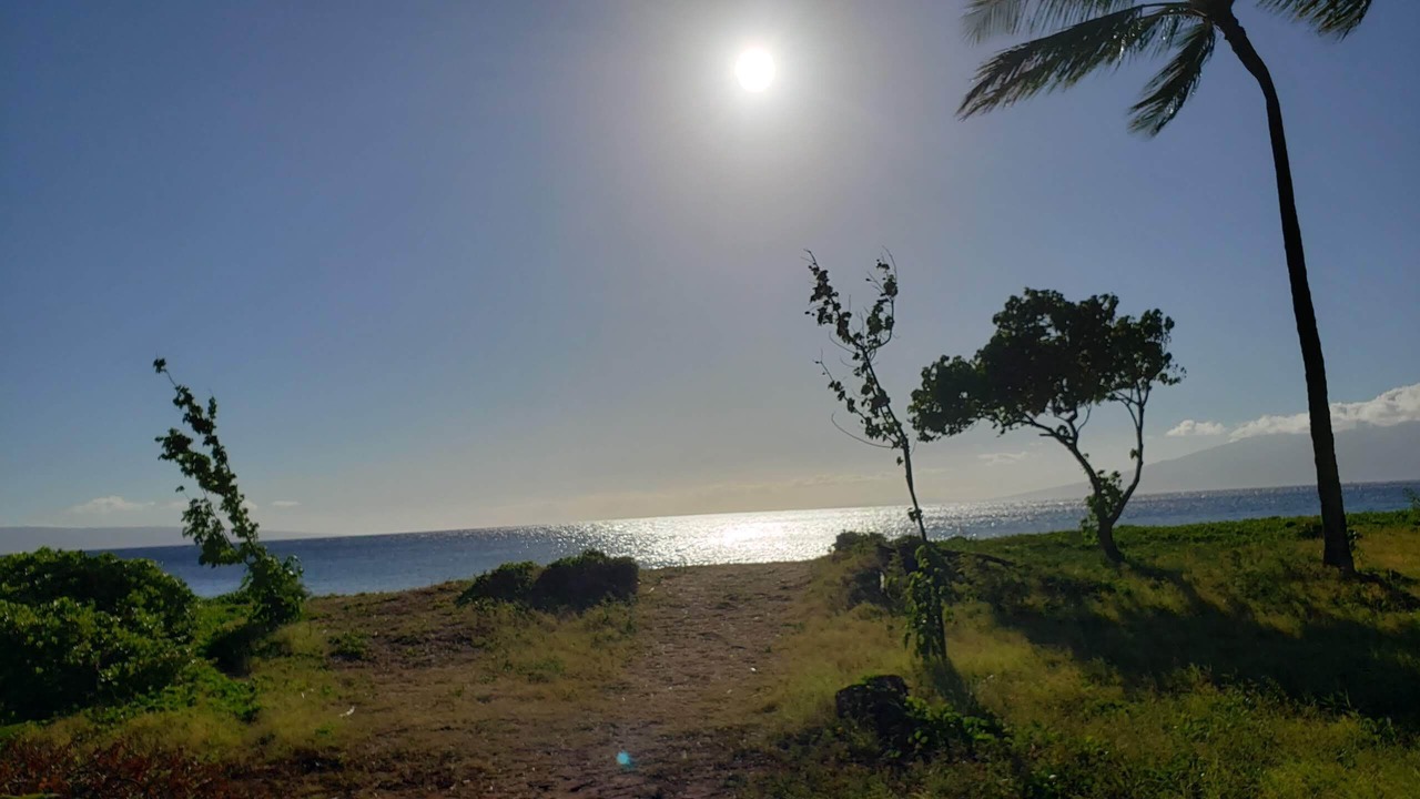 Photo of Others in Kaanapali