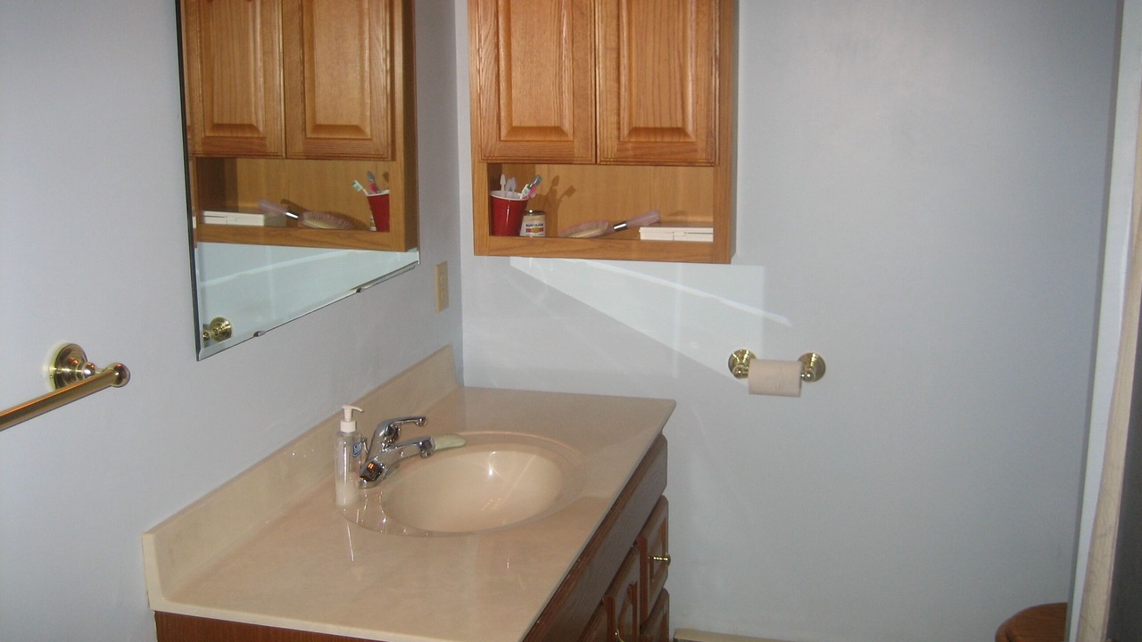 Photo of Bathroom in Dewittville