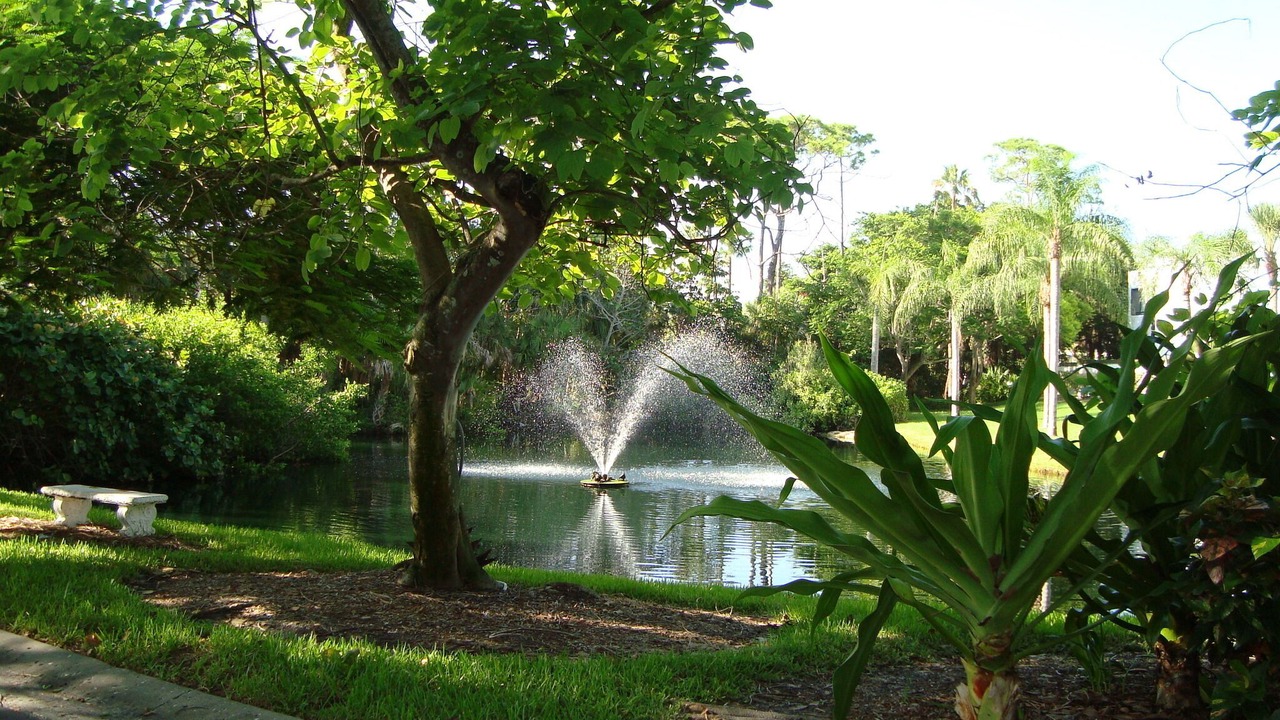 Photo of Others in Longboat Key