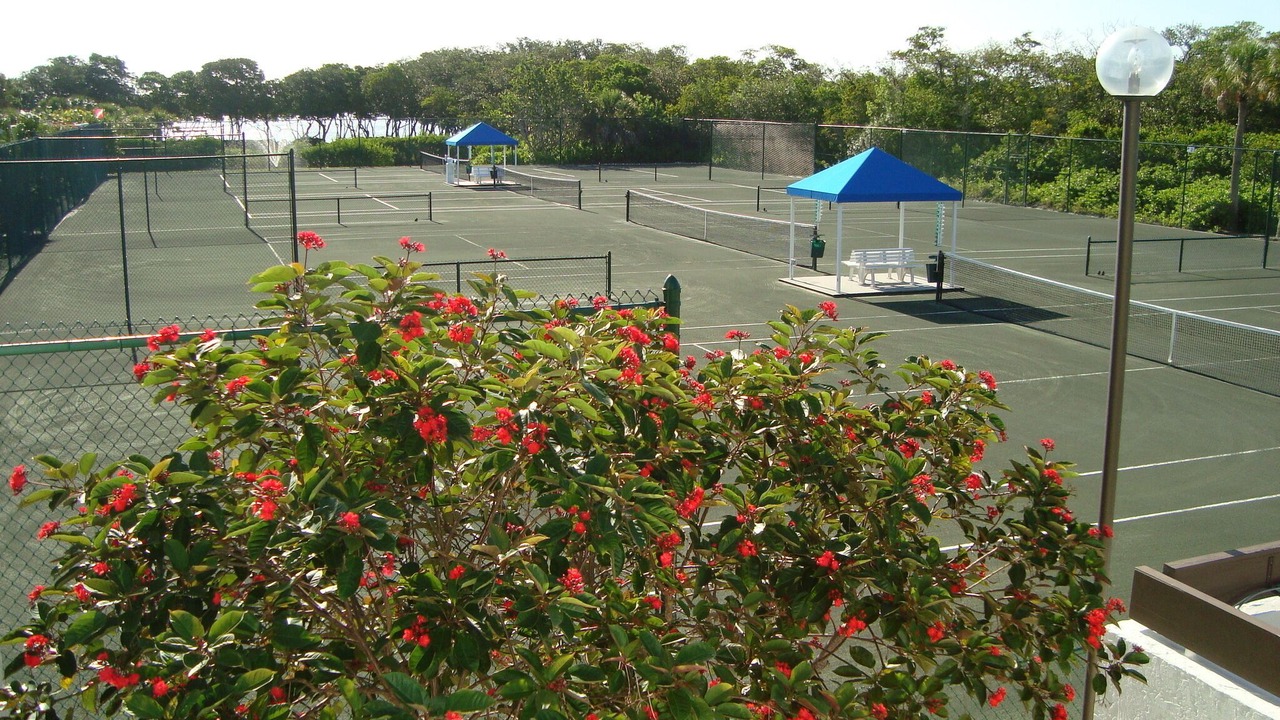 Photo of Others in Longboat Key