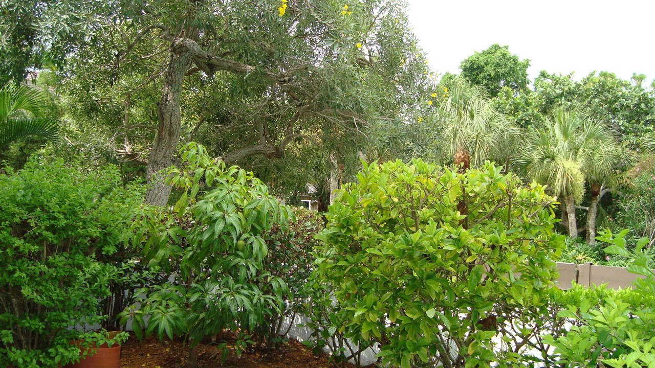 Photo of Outdoor in Longboat Key