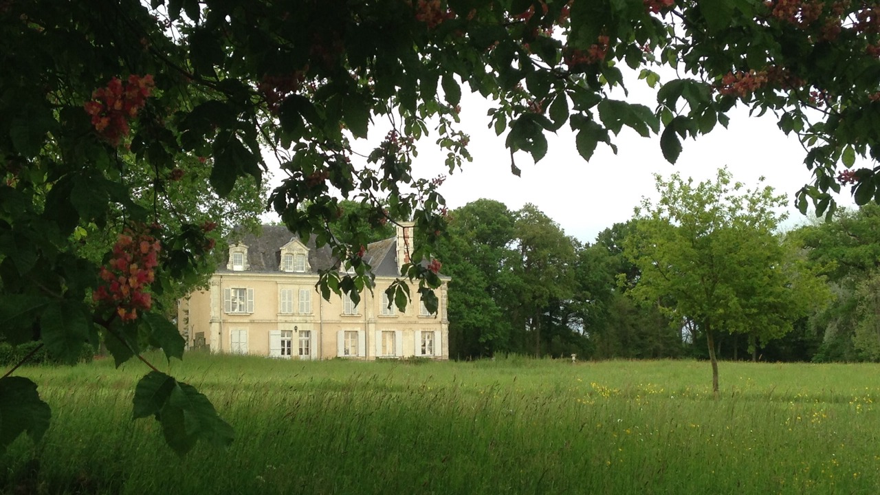 Photo of Outdoor in Daon