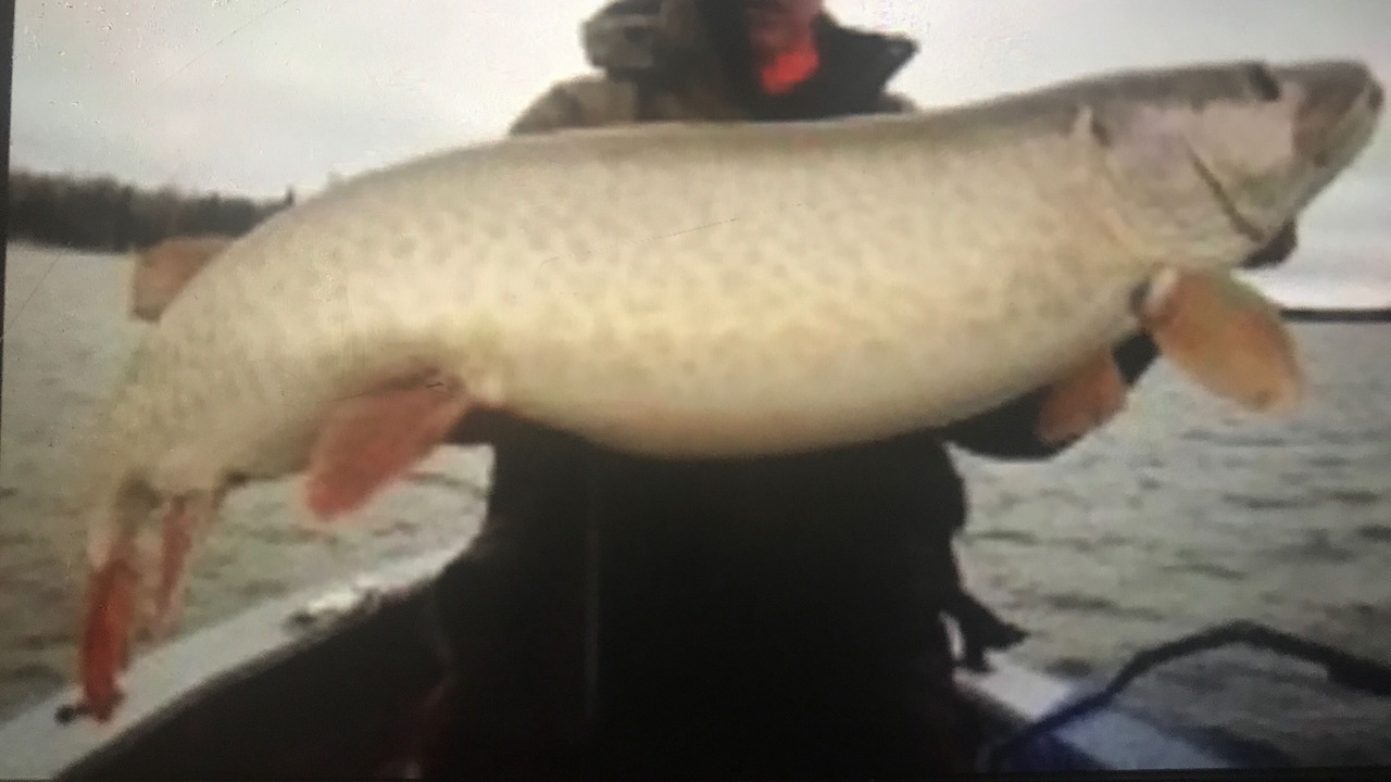 Photo of Others in Vermilion Bay