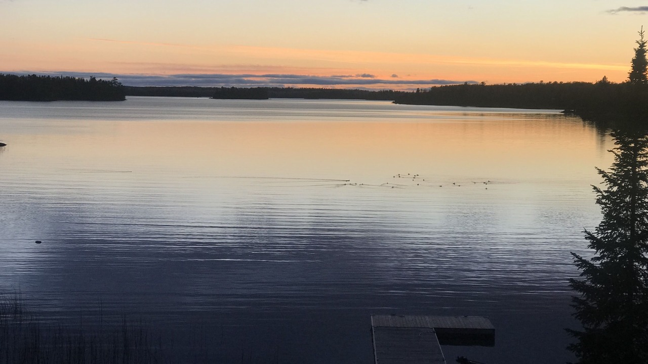 Photo of Others in Vermilion Bay