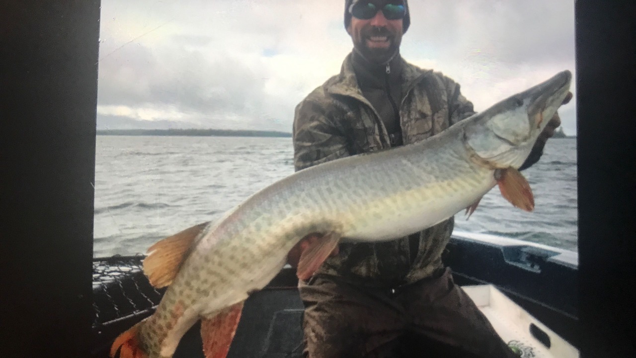 Photo of Others in Vermilion Bay