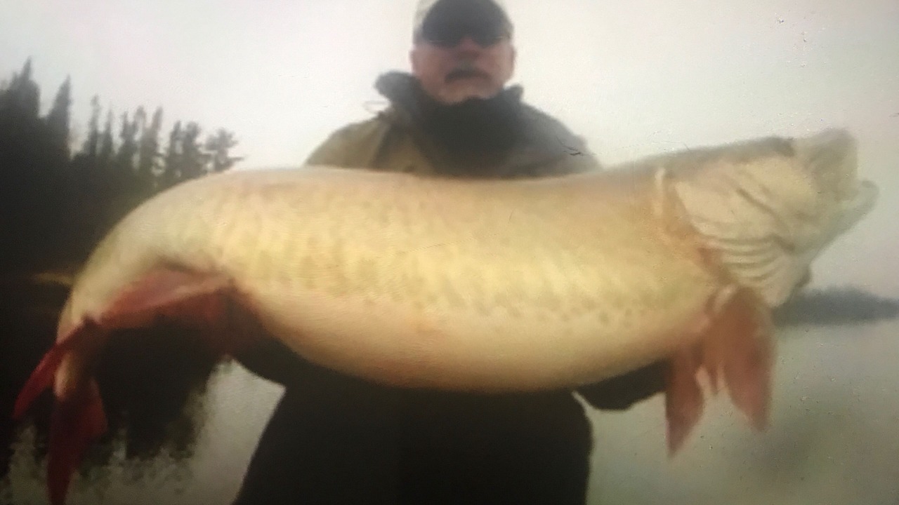 Photo of Others in Vermilion Bay