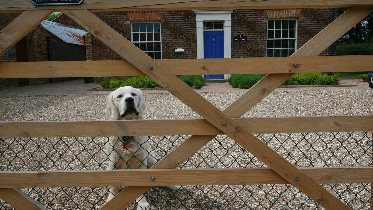 Photo of Outdoor in Helperthorpe