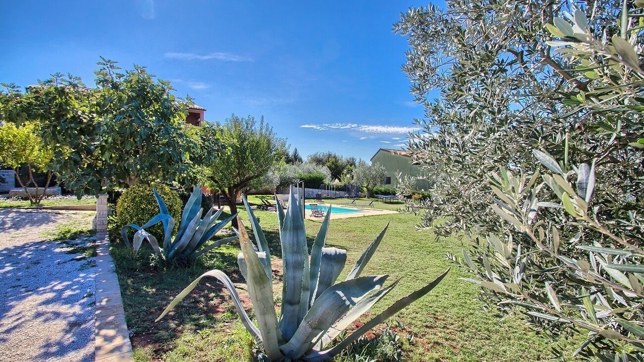 Photo of Outdoor in Banjole