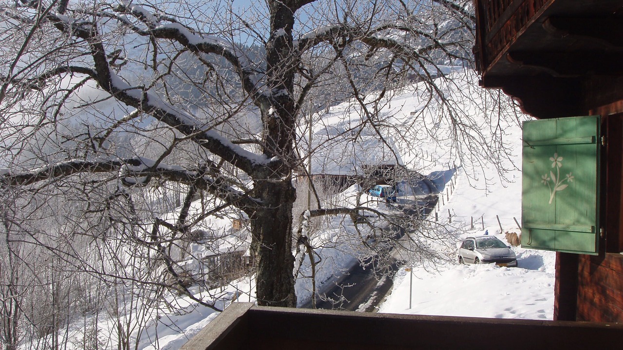 Photo of Outdoor in Val d'Illiez