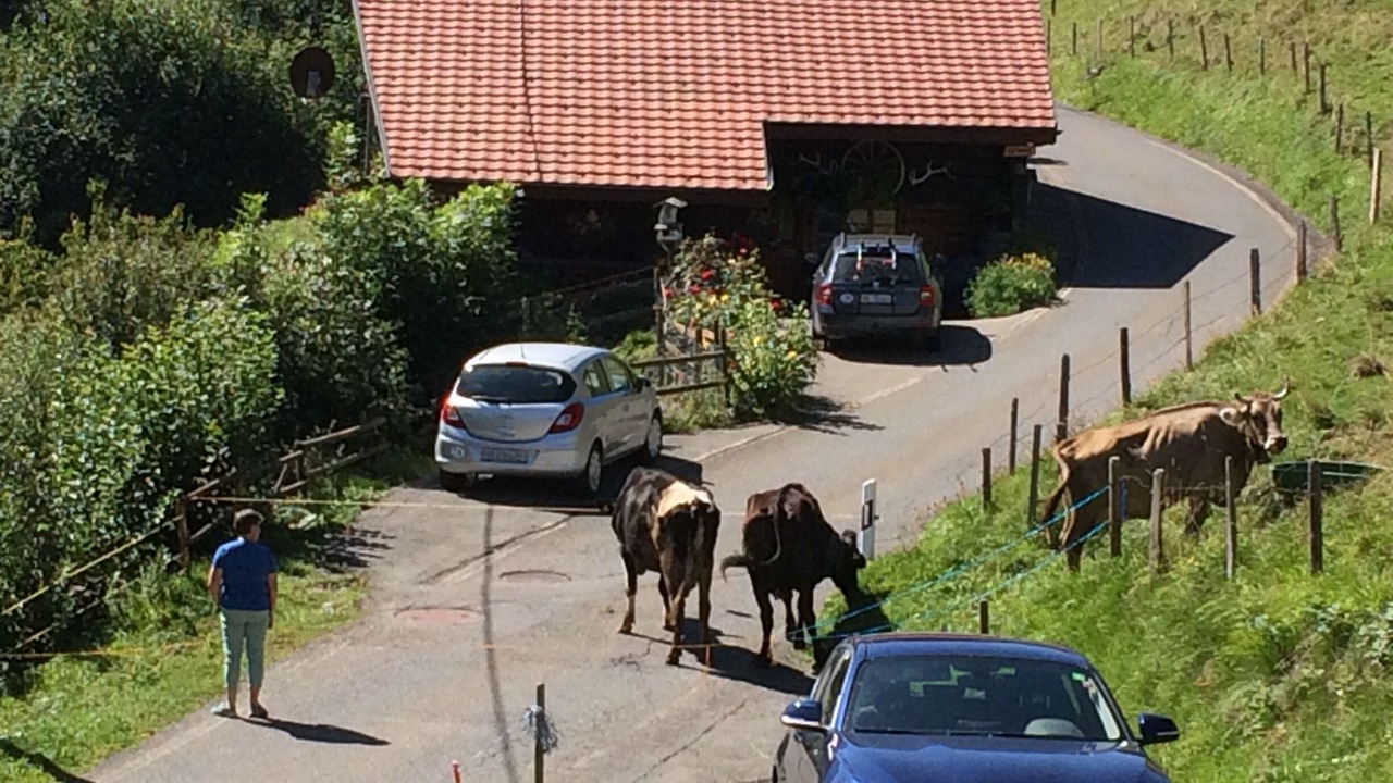Photo of Others in Val d'Illiez