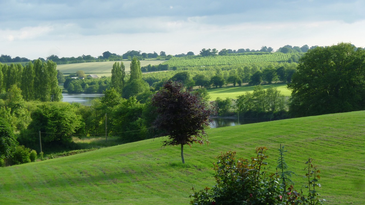 Photo of Outdoor in Saint-Loup-du-Gast