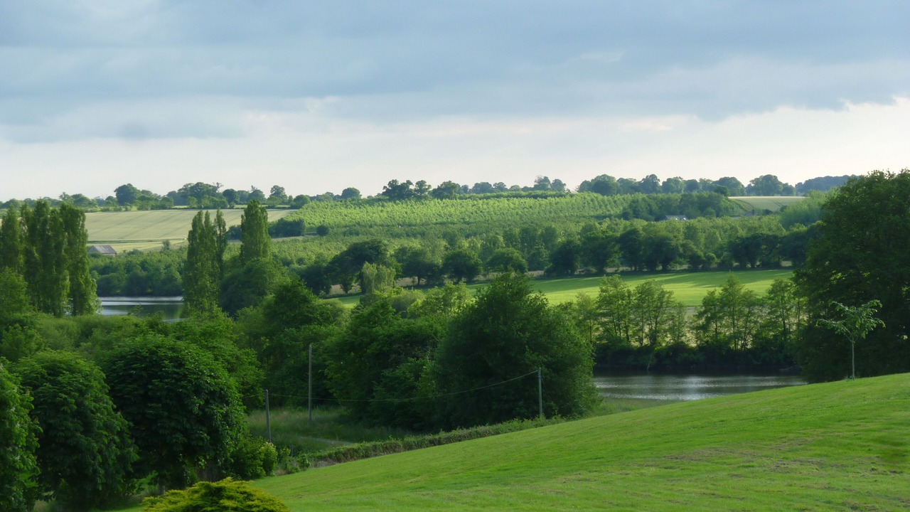 Photo of Others in Saint-Loup-du-Gast