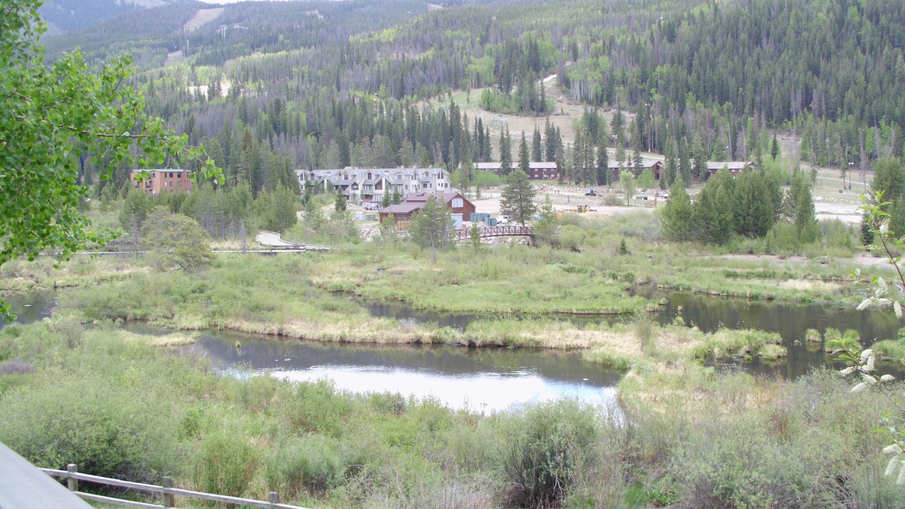 Photo of Others in Mountain House