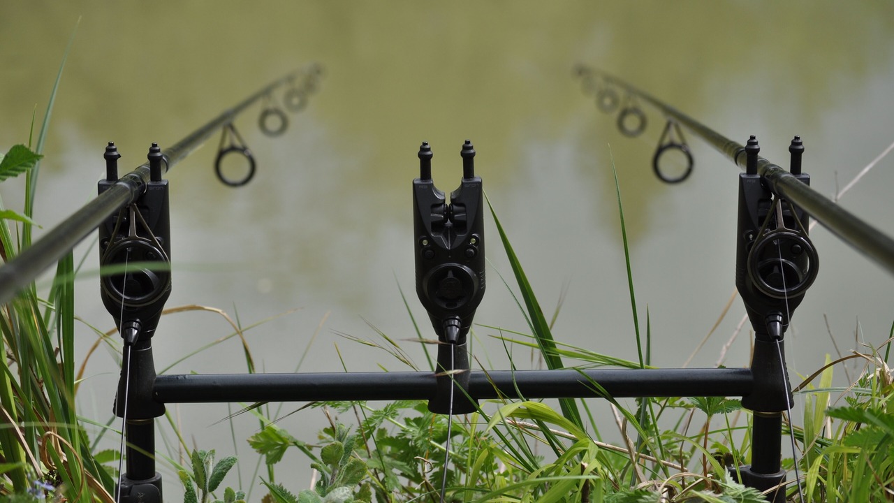Photo of Outdoor in Perrusson