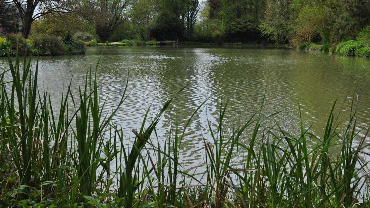 Photo of Outdoor in Perrusson