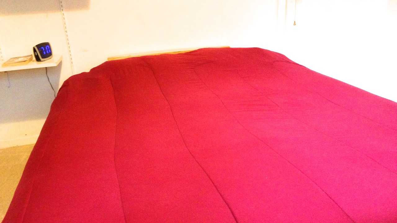 Photo of Bedroom in West Lake Hills