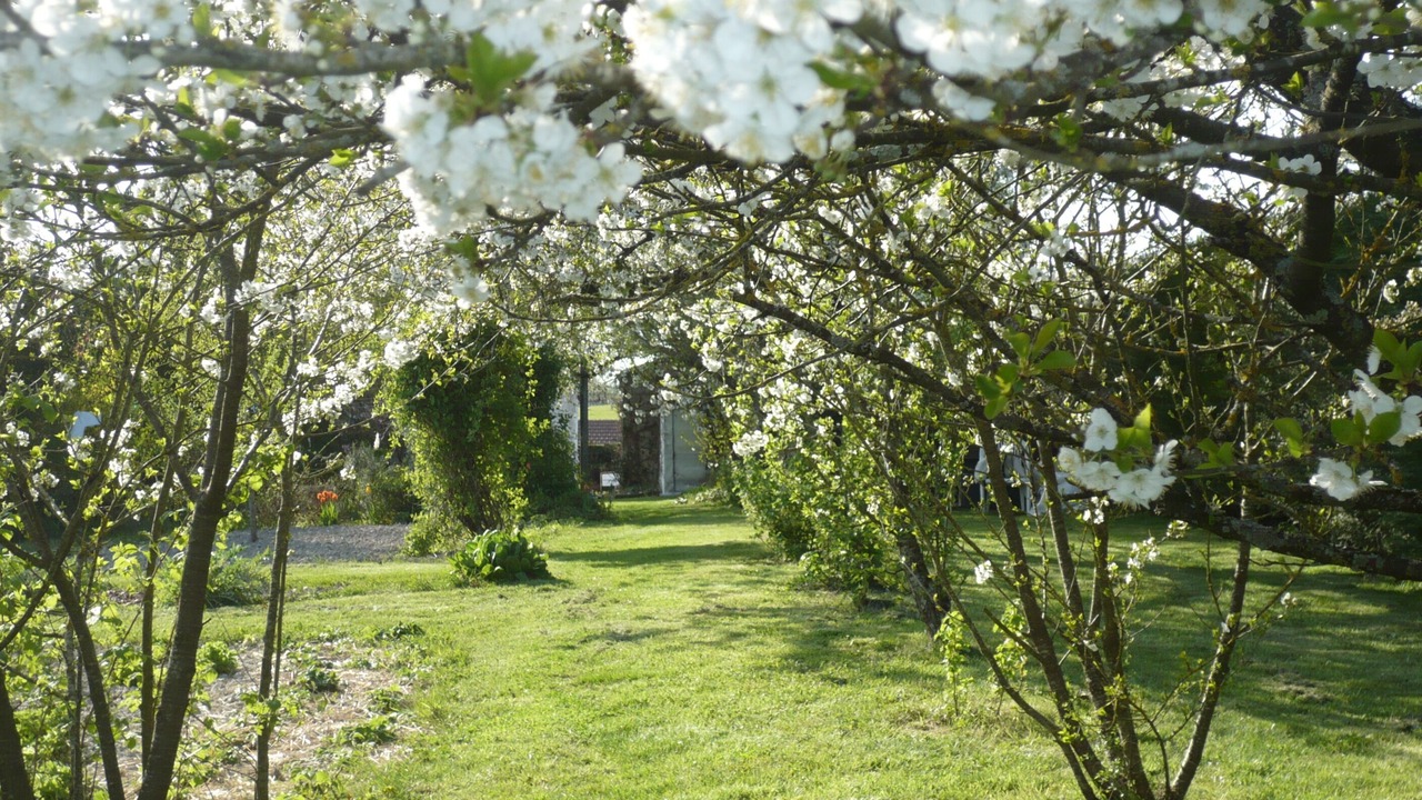 Photo of Outdoor in Chatillon-sur-Indre